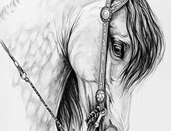 素描画